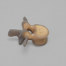 Lumbar L3, absolute™ 4th Gen., 10 PCF Solid Foam Core, Large