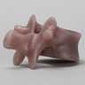Thoracic T12, absolute™ 4th Gen., Large