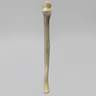 Ulna, absolute™ 4th Gen., 17 PCF Solid Foam Core, Large