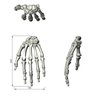 Hand, absolute™ 4th Gen., 17 PCF Solid Foam Core, Large