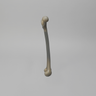 Femur, absolute™ 4th Gen., 10 PCF Solid Foam Cancellous, Small