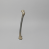 Femur, absolute™ 4th Gen., 17 PCF Solid Foam Cancellous, Small