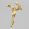 Scapula, absolute™ 4th Gen., 12 PCF Solid Foam Core, Large