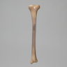 Tibia, absolute™ 4th Gen., 17 PCF Solid Foam Core, Small