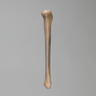 Tibia, absolute™ 4th Gen., 17 PCF Solid Foam Core, Small