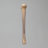 Tibia, absolute™ 4th Gen., 17 PCF Solid Foam Core, Small