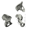 Hemi Pelvis, absolute™ 4th Gen., 17 PCF Solid Foam Core, Large