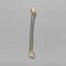 Femur, absolute™ 4th Gen., 12.5 PCF Cellular Foam Cancellous, Large