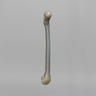 Femur, absolute™ 4th Gen., 12.5 PCF Cellular Foam Cancellous, Large