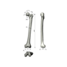Femur, absolute™ 4th Gen., 17 PCF Solid Foam Cancellous, Large with Distal Cross Pin Filled