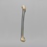 Femur, absolute™ 4th Gen., 8 PCF Solid Foam Cancellous, Large