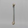 Femur, absolute™ 4th Gen., 8 PCF Solid Foam Cancellous, Large
