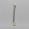 Femur, absolute™ 4th Gen., 17 PCF Solid Foam Cancellous, Large