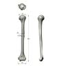 Humerus, absolute™ 4th Gen., 10 PCF Solid Foam Core, Large