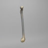Femur, absolute™ 4th Gen., 17 PCF Solid Foam Cancellous, Solid Canal, Medium