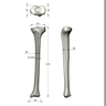 Tibia, absolute™ 4th Gen., 17 PCF Solid Foam Core, Large