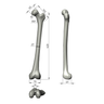 Femur, absolute™ 4th Gen., 17 PCF Solid Foam Cancellous, Medium