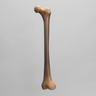 Femur, absolute™ 4th Gen., 17 PCF Solid Foam Cancellous, Medium