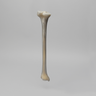 Tibia, absolute™ 4th Gen., 17 PCF, Solid Foam Core with Varus Deformity, Medium