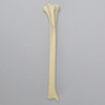 Feline Tibia, Solid foam, Left