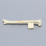 Feline Tibia with Oblique Fracture and Vise Attachment