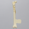 Feline Femur with Multiple Fractures and Vise Attachment