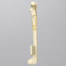 Feline Femur with Multiple Fractures and Vise Attachment