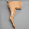 Canine Posterior Half Trunk