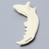 Canine Mandible, Solid Foam, Right