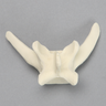 Canine Vertebra, L7, Solid Foam