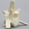 Canine Vertebra, L4, Solid Foam