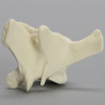 Canine Vertebra, L3, Solid Foam