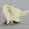 Canine Vertebra, L2, Solid Foam