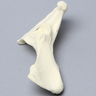 Canine Hemi Pelvis, Right