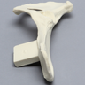 Canine Hemi Pelvis with Vise Attachment, Right