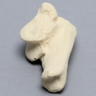 Canine Talus/Calcaneus