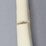 Canine Femur with Greater Trochanteric Fractures, Foam Cortical