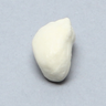 Canine Patella