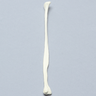 Canine Fibula, Solid Foam, Right