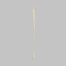 Canine Fibula, Solid Foam, Right