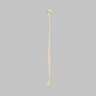 Canine Fibula, Solid Foam, Right