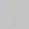 Canine Fibula, Solid Foam, Right