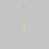Canine Fibula, Solid Foam, Right