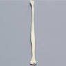 Canine Fibula, Solid Foam, Left
