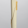 Canine Tibia with Spiral Fracture, Foam Cortical