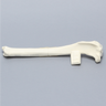Canine Tibia with Transverse Midshaft Fracture, With Vise Attachment, Left