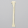 Canine Tibia, Solid Foam, Medium, Right