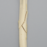 Canine Tibia with Midshaft Butterfly Fracture