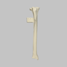 Canine Tibia with Vise Attachment, Foam Cortical Shell, Right