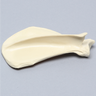 Canine Scapula